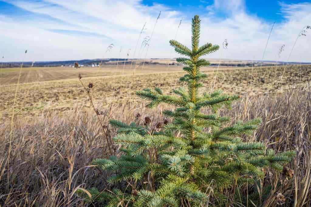 MLS® A2176616 -  NW;32;22;2;W5M   in NONE Rural Foothills County, Land