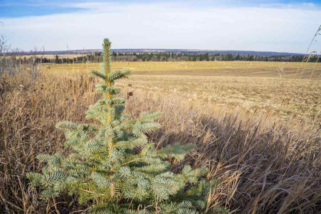 MLS® A2176616 -  NW;32;22;2;W5M   in NONE Rural Foothills County, Land