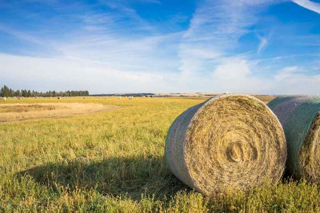 MLS® A2176616 -  NW;32;22;2;W5M   in NONE Rural Foothills County, Land