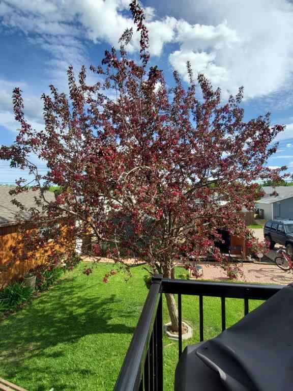 MLS® A2177295 - 310 Brassard   in NONE McLennan, Residential