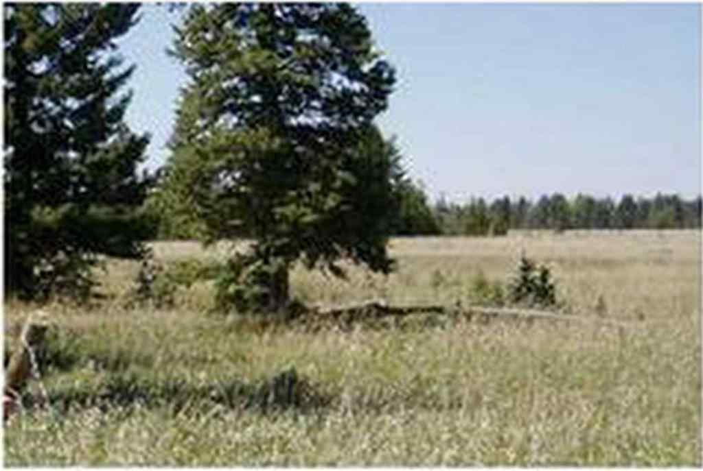 MLS® A2177360 -  Range Road 55   in NONE Rural Mountain View County, Land