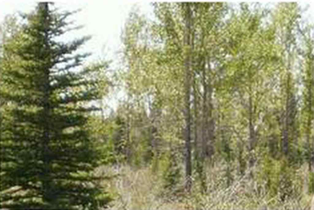 MLS® A2177360 -  Range Road 55   in NONE Rural Mountain View County, Land