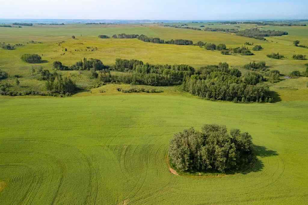 MLS® A2177825 - 3245 Township Road 292   in NONE Rural Mountain View County, Agri-Business