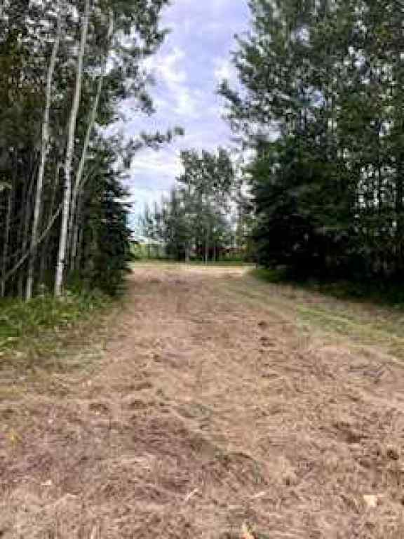 MLS® A2178568 - 0 2422103 Block 1 Lot 1   in Wandering River Wandering River, Land