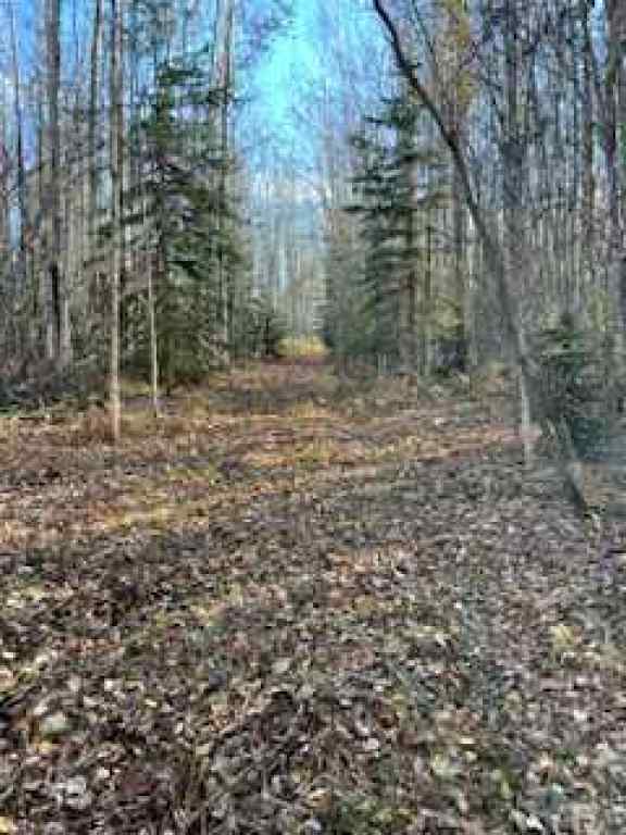 MLS® A2178568 - 0 2422103 Block 1 Lot 1   in Wandering River Wandering River, Land