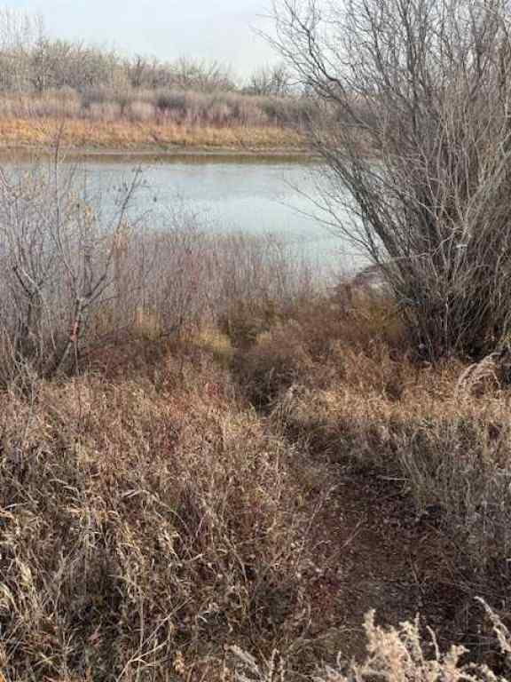 MLS® A2179461 - 670 Center Street  in Cambria Drumheller, Land