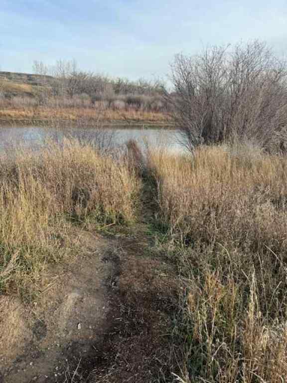 MLS® A2179461 - 670 Center Street  in Cambria Drumheller, Land