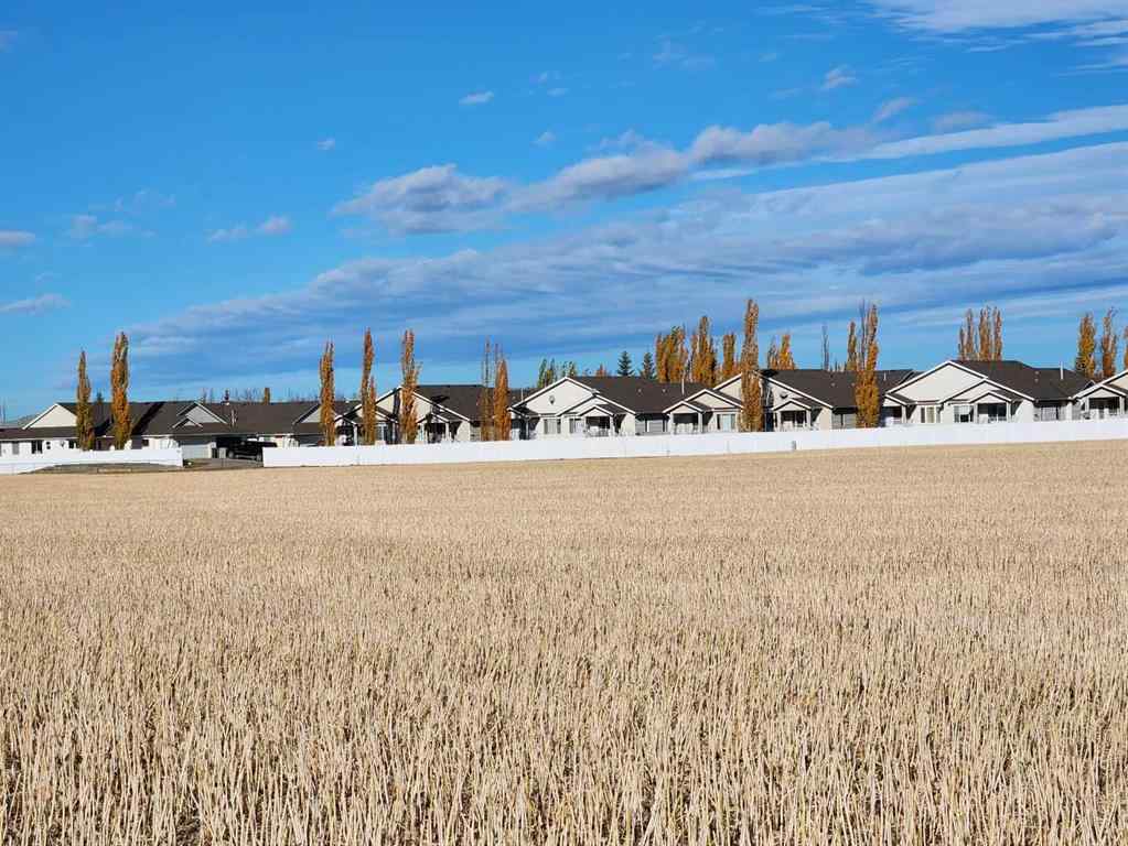 MLS® A2180532 - 6002 57 Avenue  in NONE Olds, Land