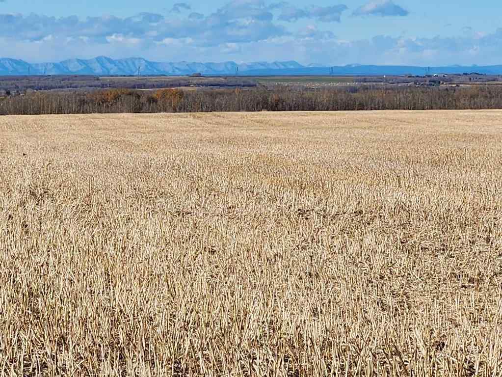 MLS® A2180532 - 6002 57 Avenue  in NONE Olds, Land