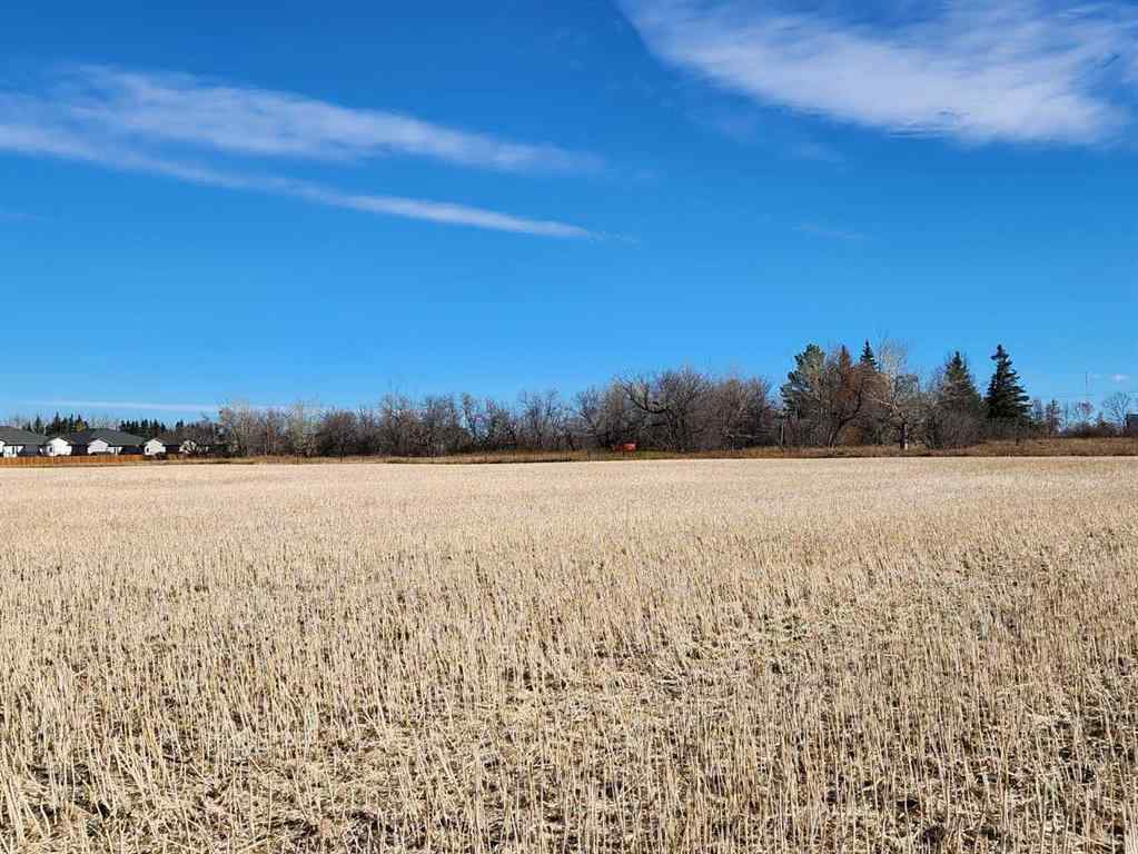 MLS® A2180532 - 6002 57 Avenue  in NONE Olds, Land