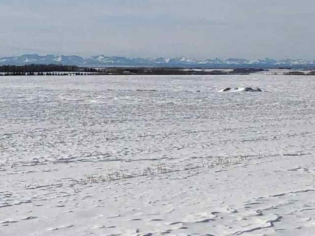 MLS® A2180532 - 6002 57 Avenue  in NONE Olds, Land