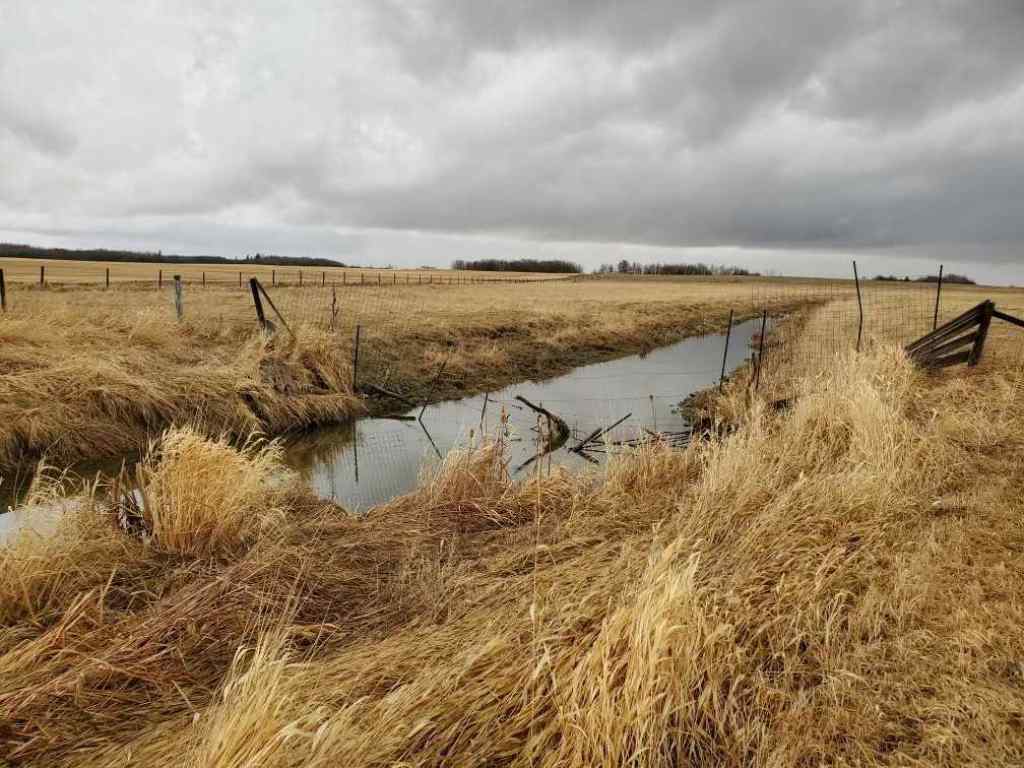 MLS® A2180616 - 4810 52 Avenue  in Andrew Andrew, Land