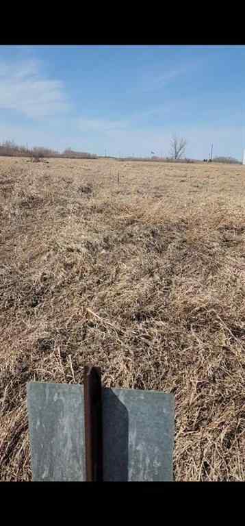 MLS® A2180649 - 145048 192 Township N in NONE Rural Newell, County of, Land