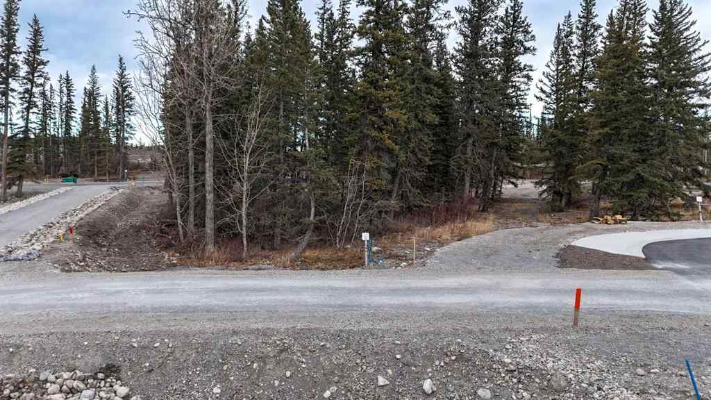 MLS® A2181000 - 107 Bud's Way  in Kananaskis Rural Bighorn No. 8, M.D. of, Land