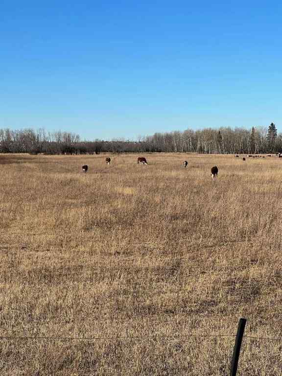 MLS® A2181283 - SE-32-71-5-W6 .   in NONE Grande Prairie, Land