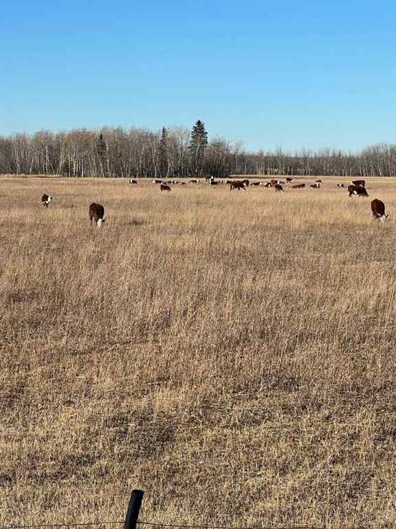 MLS® A2181283 - SE-32-71-5-W6 .   in NONE Grande Prairie, Land