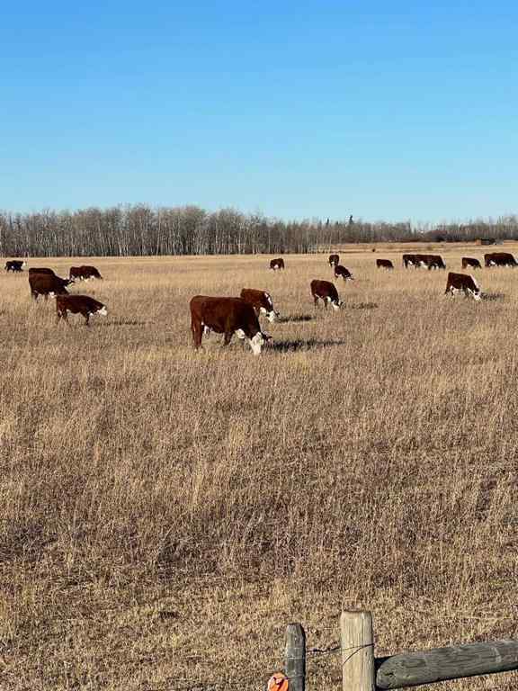 MLS® A2181283 - SE-32-71-5-W6 .   in NONE Grande Prairie, Land