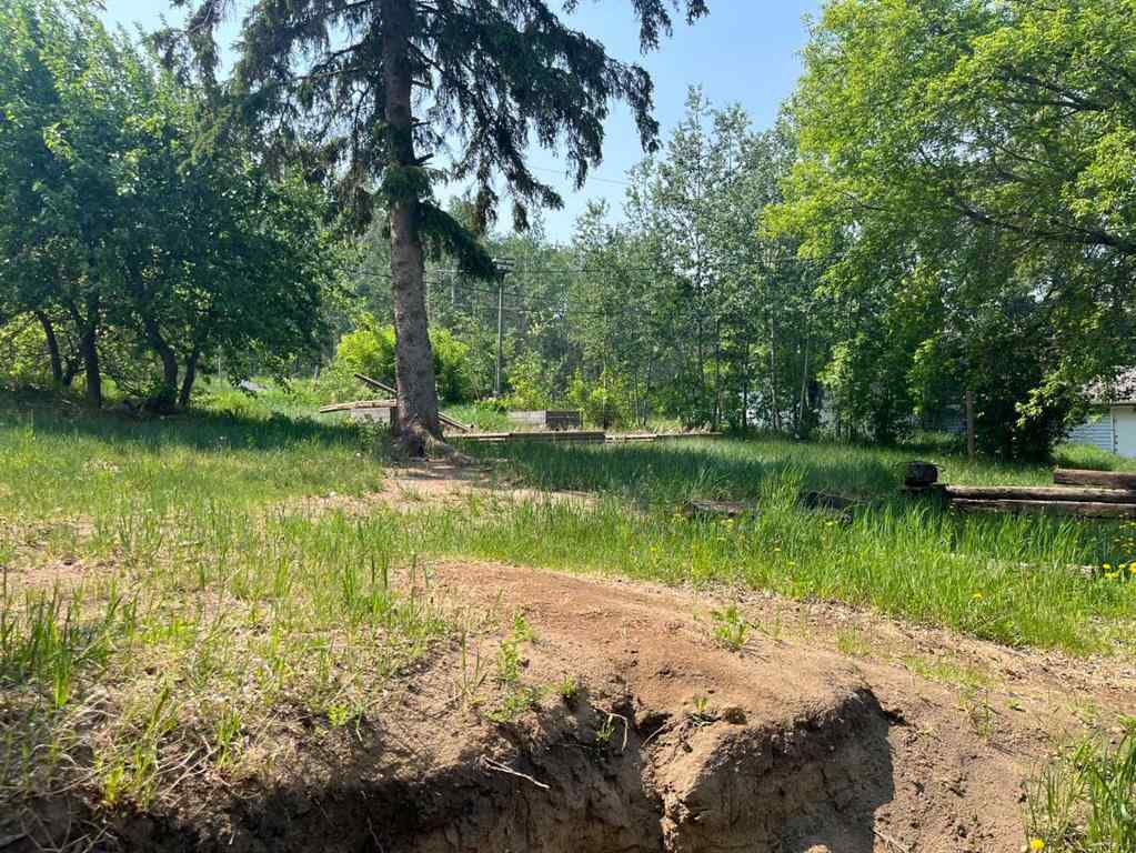 MLS® A2182770 - 221 2 Street  in NONE Paradise Hill, Residential