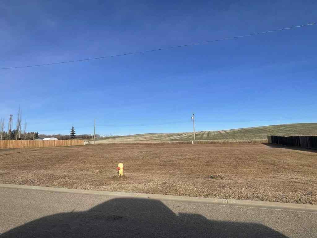 MLS® A2182982 - 5124 57 Avenue  in Edgerton Edgerton, Land