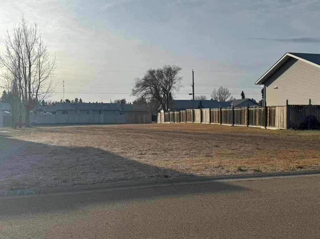MLS® A2183001 - 5115 57 Avenue  in Edgerton Edgerton, Land