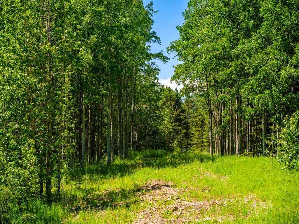 MLS® A2183073 -  Water Valley   in Watervalley Rural Mountain View County, Land