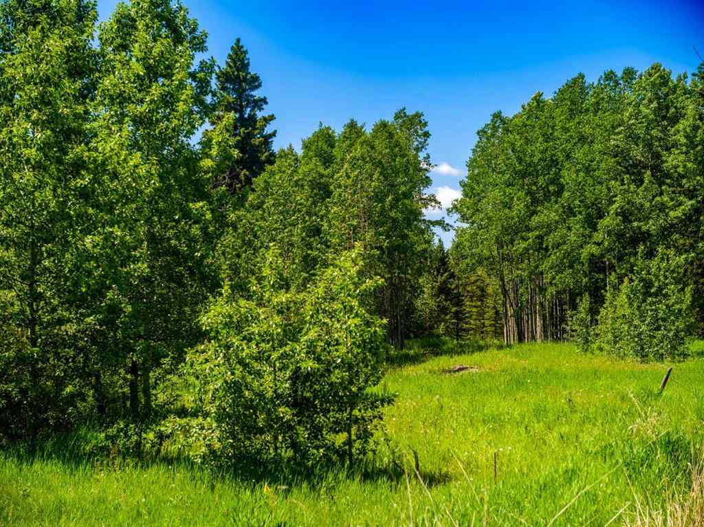 MLS® A2183073 -  Water Valley   in Watervalley Rural Mountain View County, Land