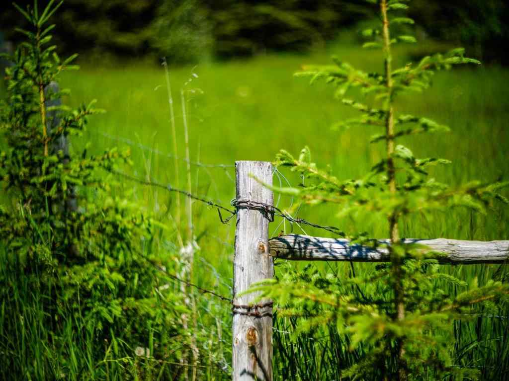 MLS® A2183073 -  Water Valley   in Watervalley Rural Mountain View County, Land