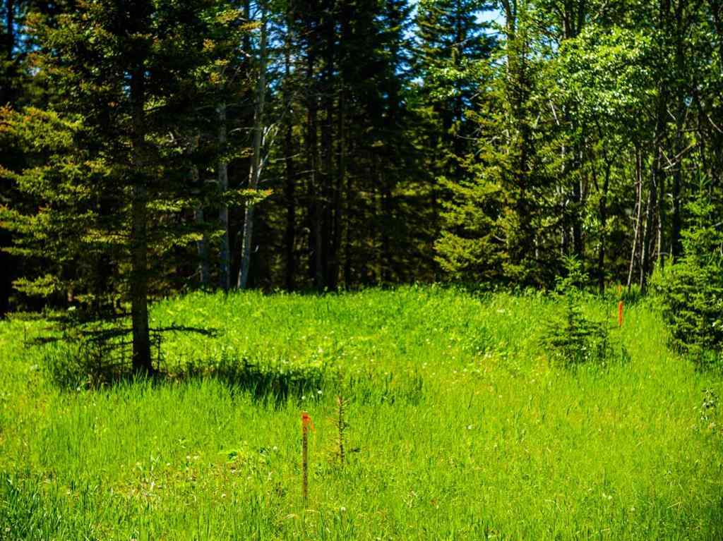 MLS® A2183073 -  Water Valley   in Watervalley Rural Mountain View County, Land