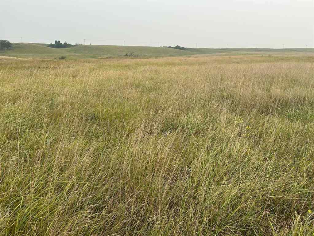 MLS® A2183149 -  NE 22-40-3-W4   in NONE Rural Provost No. 52, M.D. of, Land