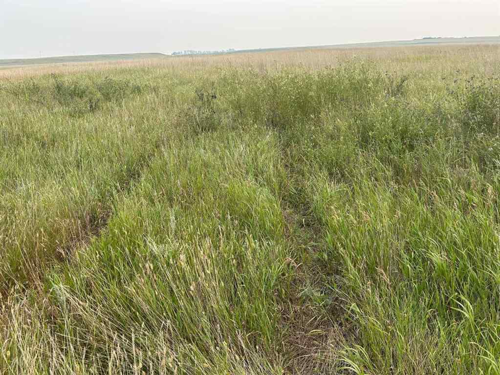 MLS® A2183149 -  NE 22-40-3-W4   in NONE Rural Provost No. 52, M.D. of, Land