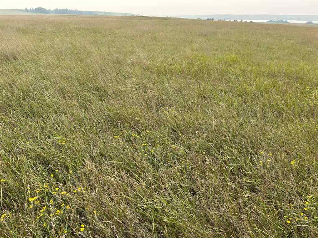 MLS® A2183149 -  NE 22-40-3-W4   in NONE Rural Provost No. 52, M.D. of, Land
