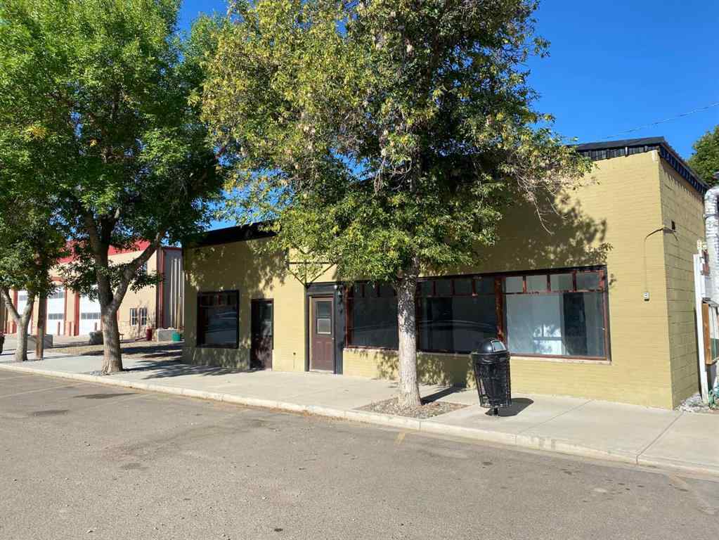 MLS® A2183480 - 165 Centre Street  in NONE Tilley, Residential