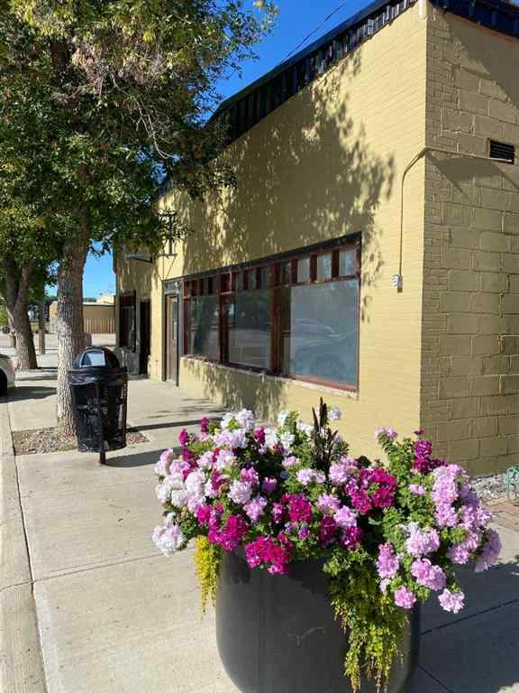 MLS® A2183480 - 165 Centre Street  in NONE Tilley, Residential