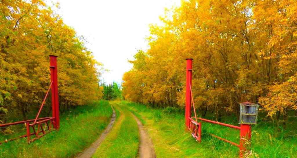 MLS® A2183681 - 2520855, 1, 2   in Lac La Biche Lac La Biche, Land