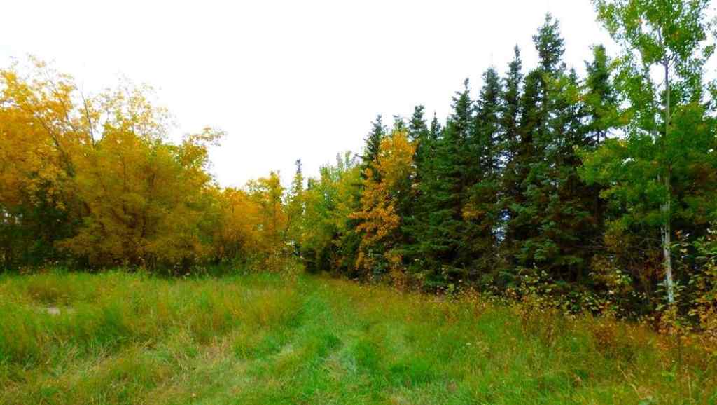 MLS® A2183681 - 2520855, 1, 2   in Lac La Biche Lac La Biche, Land