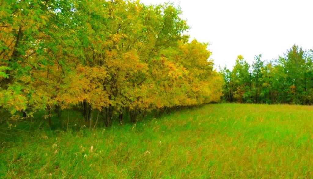 MLS® A2183681 - 2520855, 1, 2   in Lac La Biche Lac La Biche, Land