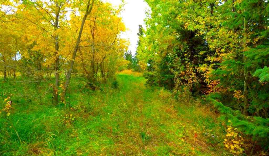 MLS® A2183681 - 2520855, 1, 2   in Lac La Biche Lac La Biche, Land