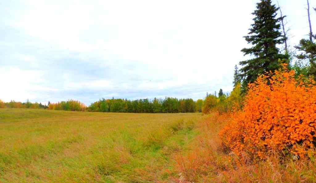 MLS® A2183681 - 2520855, 1, 2   in Lac La Biche Lac La Biche, Land