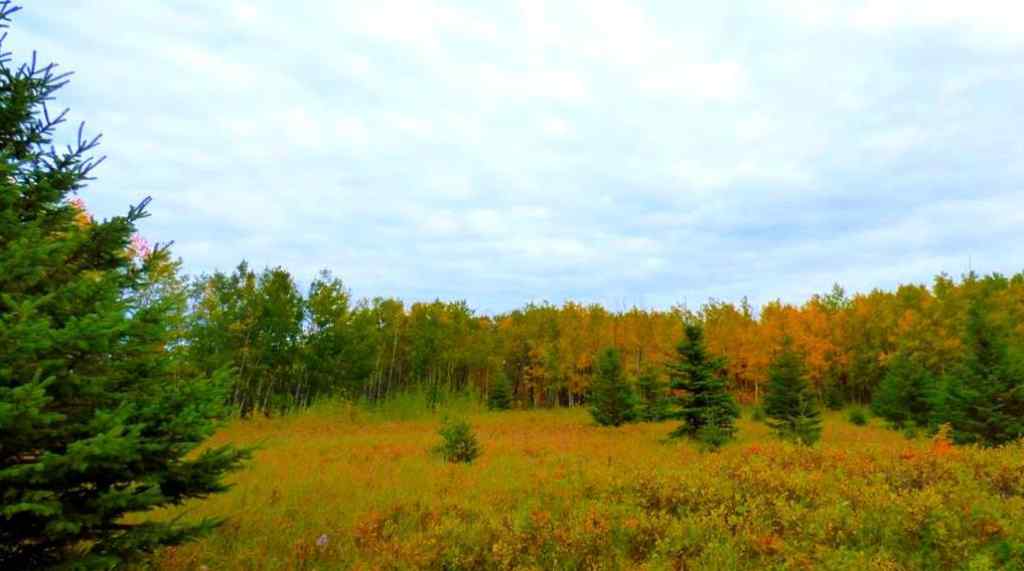 MLS® A2183700 - 2520854, 1, 6   in Lac La Biche Lac La Biche, Land