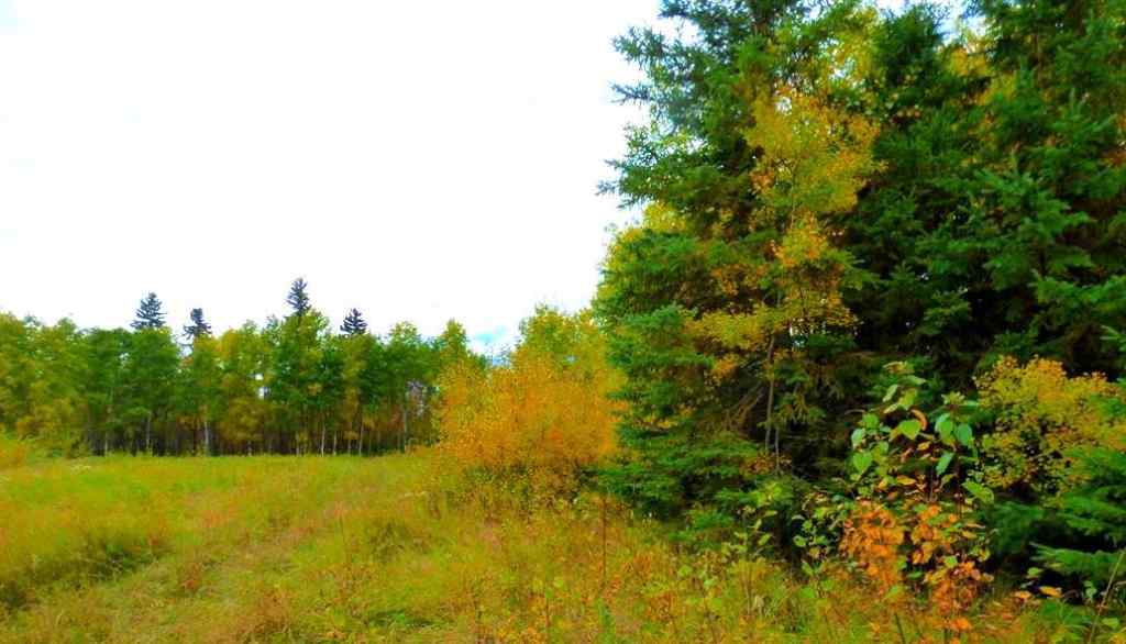 MLS® A2183700 - 2520854, 1, 6   in Lac La Biche Lac La Biche, Land