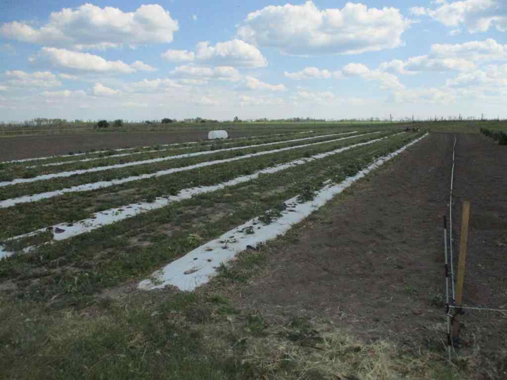 MLS® A2183885 -  893029 Rge Rd 232   in NONE Rural Northern Lights, County of, Residential