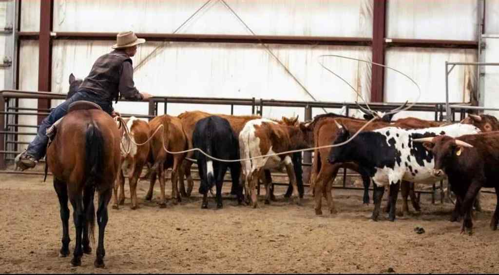 MLS® A2184539 - 390039 Range Road 5-4   in NONE Rural Clearwater County, Residential