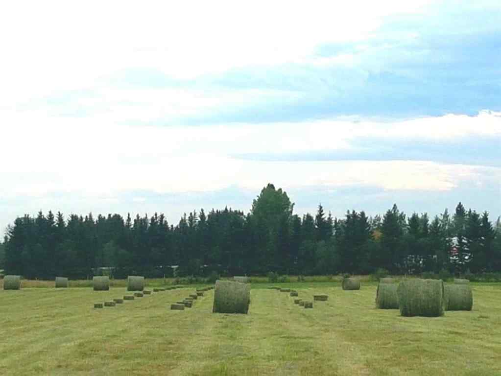 MLS® A2184539 - 390039 Range Road 5-4   in NONE Rural Clearwater County, Residential
