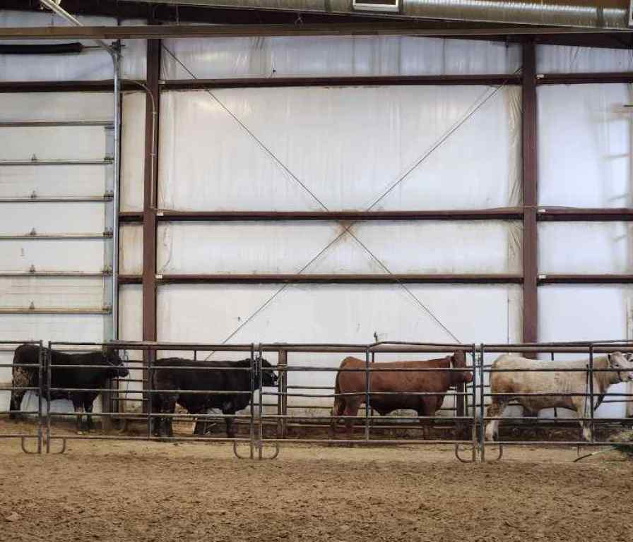 MLS® A2184539 - 390039 Range Road 5-4   in NONE Rural Clearwater County, Residential