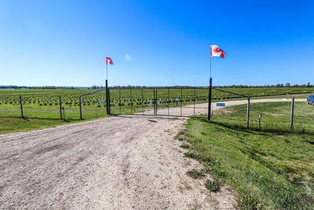 MLS® A2184774 - 705068 82 Range  in NONE Wembley, Agri-Business