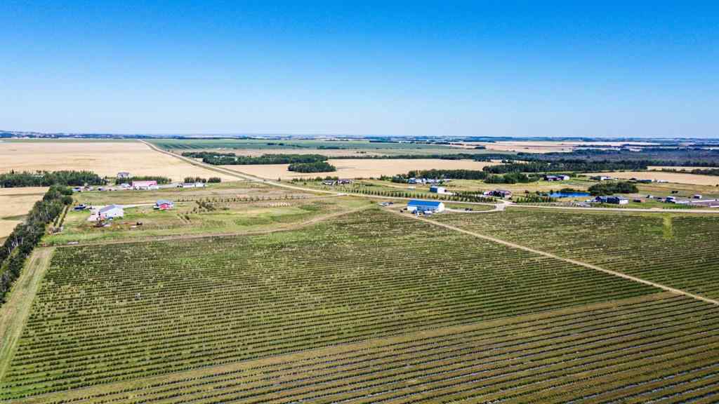 MLS® A2184774 - 705068 82 Range  in NONE Wembley, Agri-Business