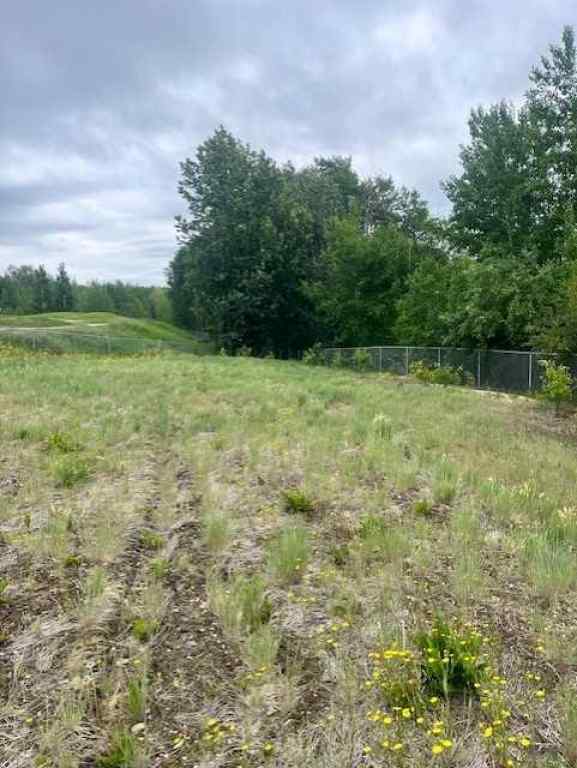 MLS® A2185221 - Unit #1714 60017 Township Road 704A Township  in Dunes on 17 Rural Grande Prairie No. 1, County of, Land