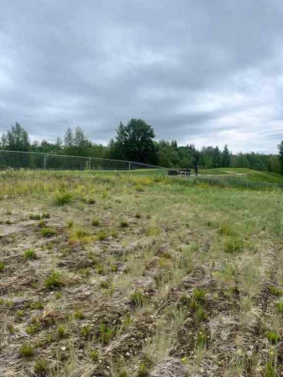 MLS® A2185221 - Unit #1714 60017 Township Road 704A Township  in Dunes on 17 Rural Grande Prairie No. 1, County of, Land