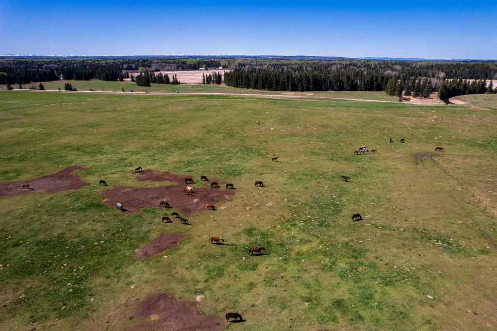 MLS® A2185495 - 36033 Range Rd 40   in NONE Rural Red Deer County, Agri-Business