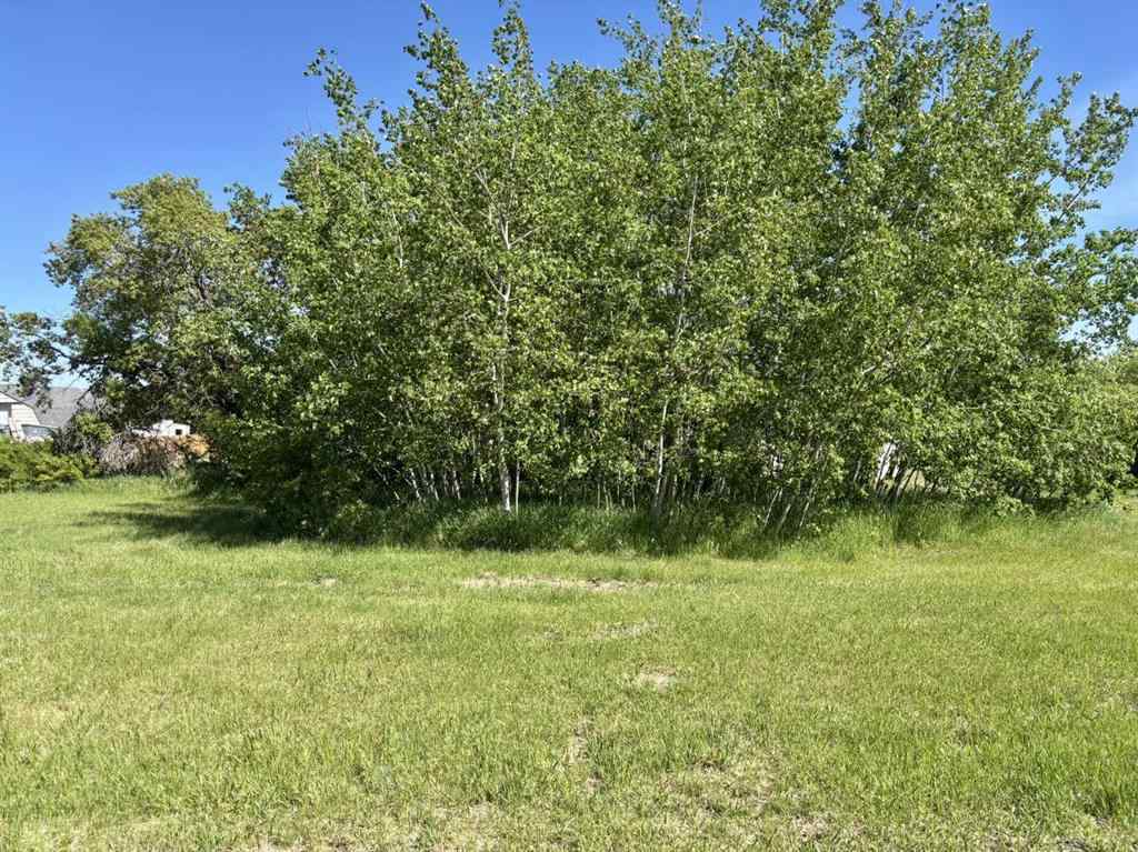 MLS® A2185664 - 5315 51 Street  in NONE Mirror, Residential